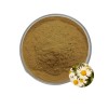 Chamomile Extract