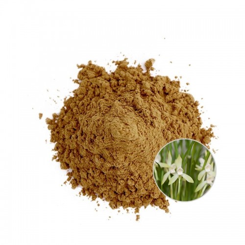 Orchid Extract
