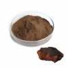 Chaga Extract