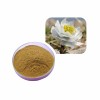 Snow Lotus Extract