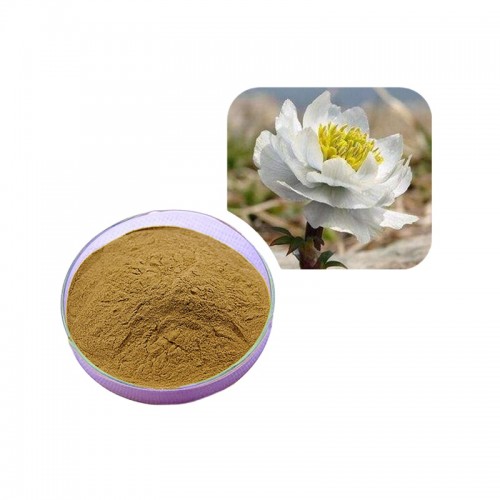 Snow Lotus Extract