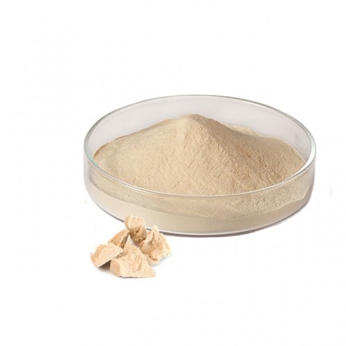 Nutritional Yeast Powder