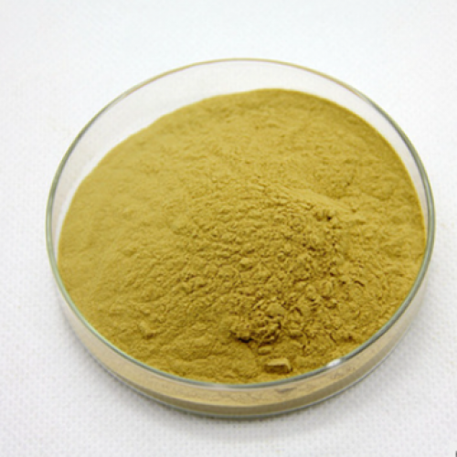 Banaba Leaf Extract Powder Corosolic Acid