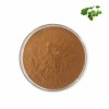 Gotu Kola Leafs Extract