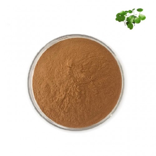 Gotu Kola Leafs Extract