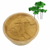 Lotus Leaf Extract