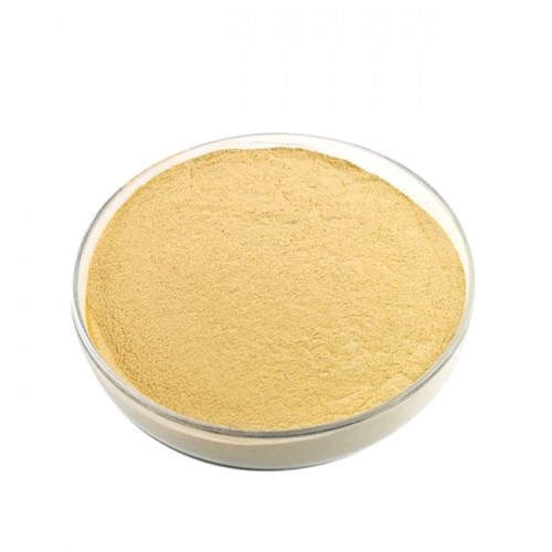 Yeast Extract (Glutathione)