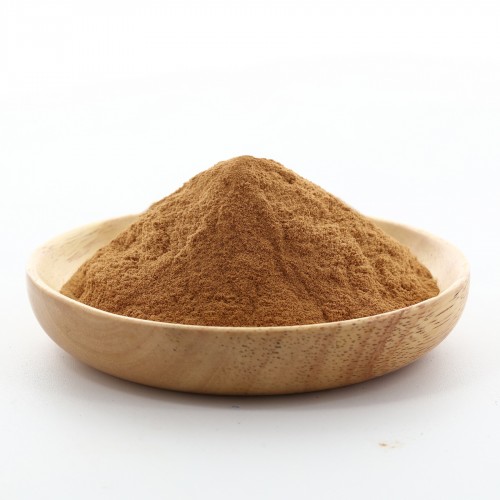 Rhizoma Galangae Extract