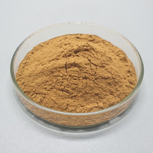 Rosehip Extract