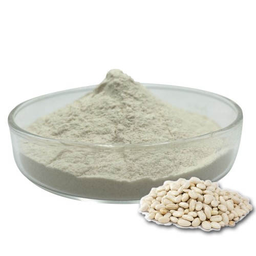 White Kidney Bean Extract