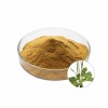 Plantain Extract