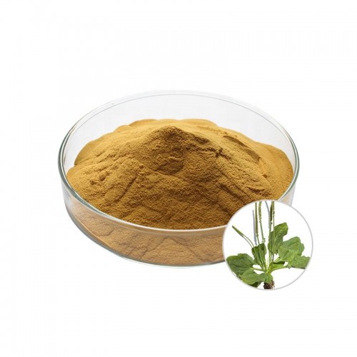 Plantain Extract