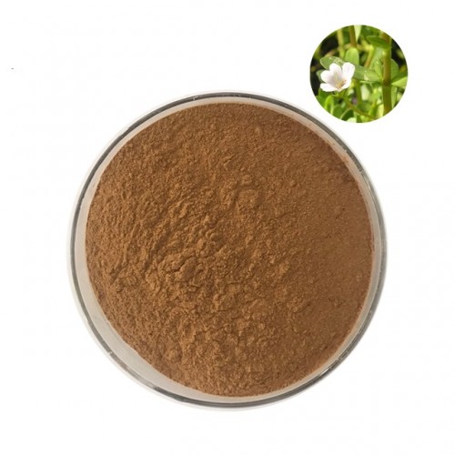 Bacopa Monnieri Extract