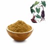 Polygonum Multiflorum Extract