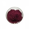 Bilberry Extract