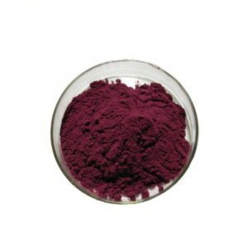 Bilberry Extract