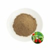 Organic Goji Berry Powder