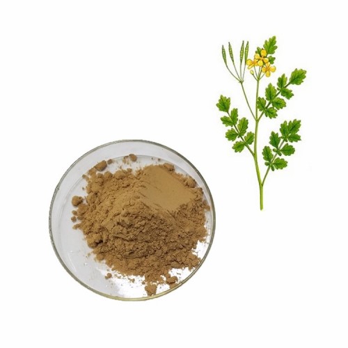 Celandine Extract