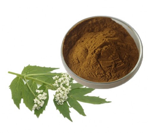 Valerian Root Extract