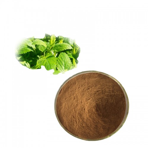 Lemon Balm Extract