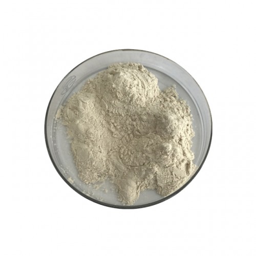 Zinc Yeast