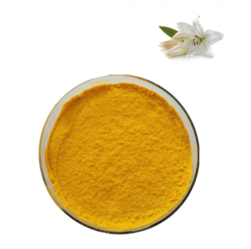 Lily Extract