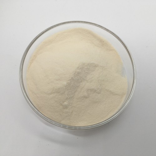 Spermidine Powder