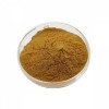 Echinacea Extract