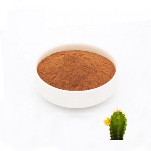 Cactus Extract