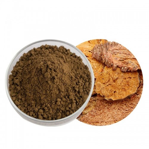 Rhodiola Rosea Extract