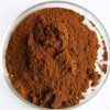 Chaga Mushroom Extract