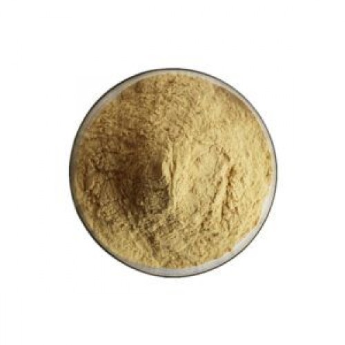 Ginseng Root Extract