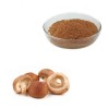 Shiitake Mushroom Extract