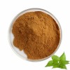 Nettle Root Extract