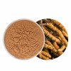 Cordyceps Sinensis Extract