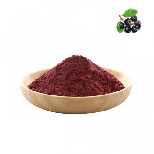Chokeberry / Aronia Melanocarpa Extract