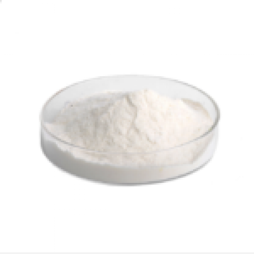 Saw Palmetto Extract