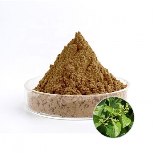 Tripterygium Wilfordii Extract