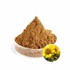 Arnica Montana Extract