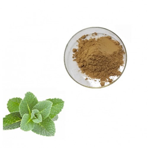 Nepeta Cataria Ratio Extract