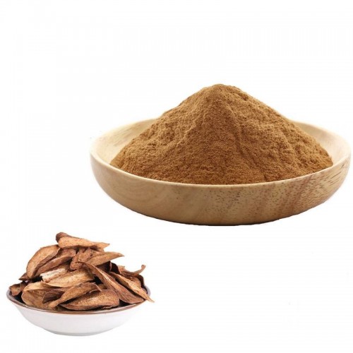 Burdock Root Extract