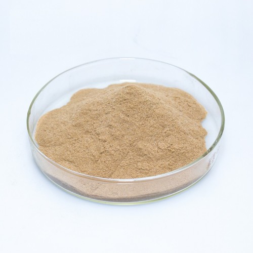 Huperzia Serrata Leaf Extract