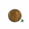 Motherwort Extract