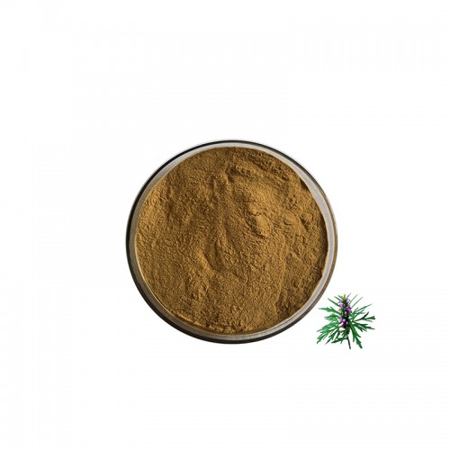 Motherwort Extract