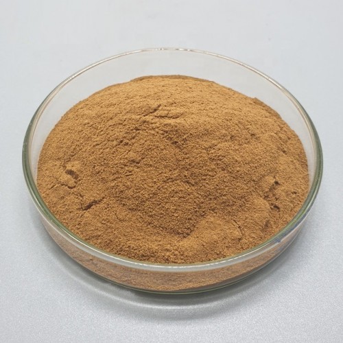 Schisandra Chinensis Extract